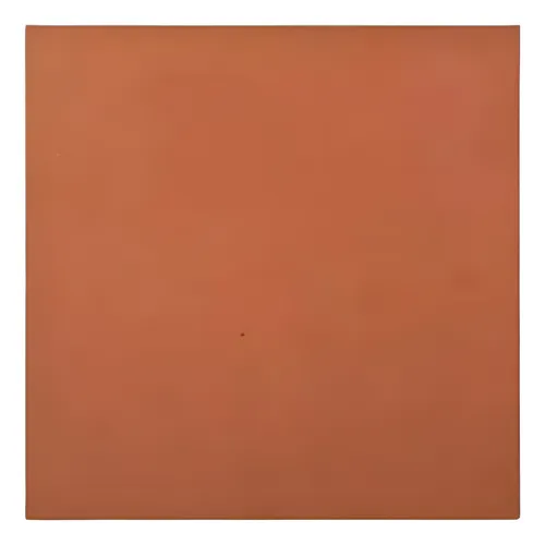 Ceramica Curada A Fuego 43x43 Colonial Exterior Salteña